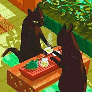 Meet your Posher, Fiji